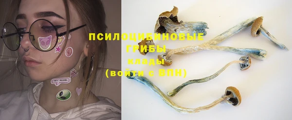 а пвп мука Осинники