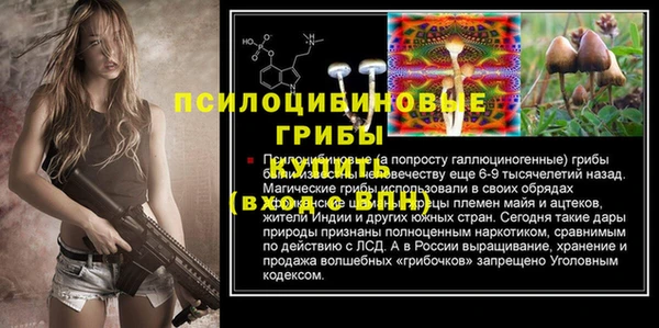 бутират Переславль-Залесский