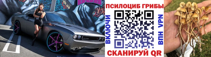 OMG как зайти Кунгур Псилоцибиновые грибы Magic Shrooms